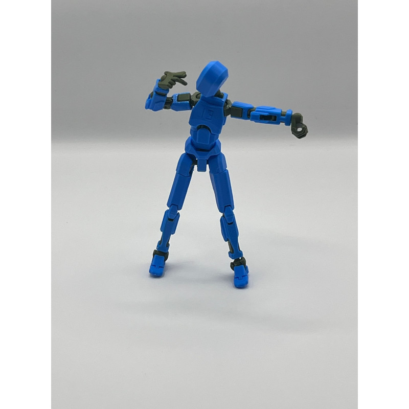 dummy 13