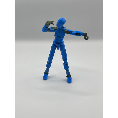 dummy 13